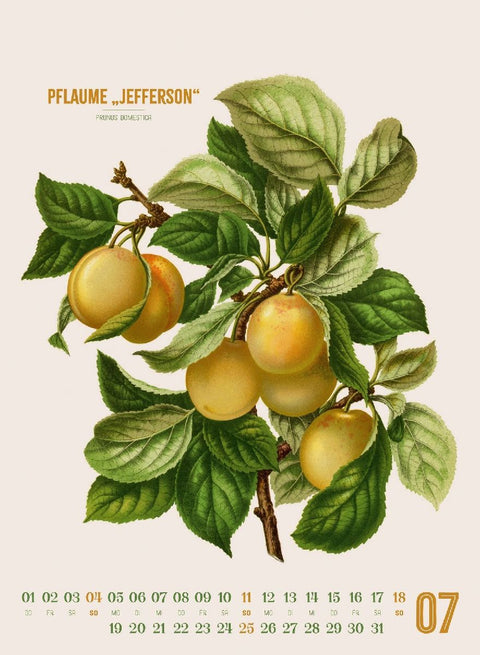 Obstgarten Kalender 2027 | Apfel, Birne, Pflaume & Co.
