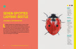The Insect Artist