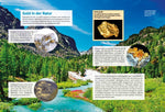 Entdecke das Gold (Innenansicht)