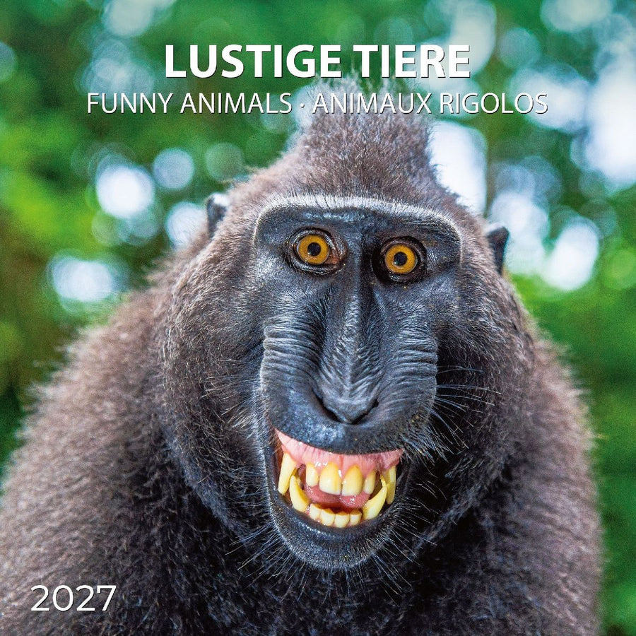 Lustige Tiere / Funny Animals 2027