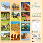 Magic Horses 2027