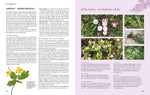 Das große Praxishandbuch Garten (Innenansicht)