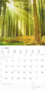 Sunny Moments 2027
