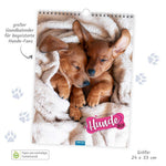TRÖTSCH - Classickalender Hunde 2027