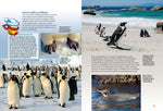 Entdecke die Pinguine