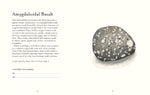 The Pebble Spotter's Guide (Innenansicht)