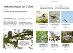 Vögel beobachten (Innenansicht)