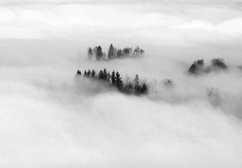 Schwarz. Wald. Land.