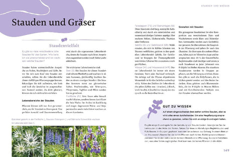 Gärtnern für Gartenneulinge