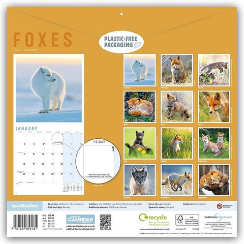Foxes - Füchse 2027 - Wand-Kalender