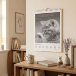 DUMONTS Katzenkalender 2027