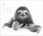 Black & White Animals 2027