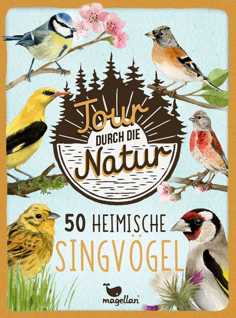 Tour durch die Natur - 50 heimische Singvögel