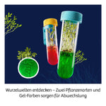 Fun Science Aqua-Gel-Pflanzen (Innenansicht)