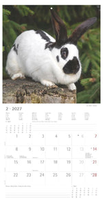 Kaninchen 2027