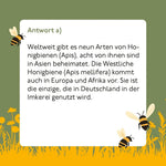 Bienen-Quiz