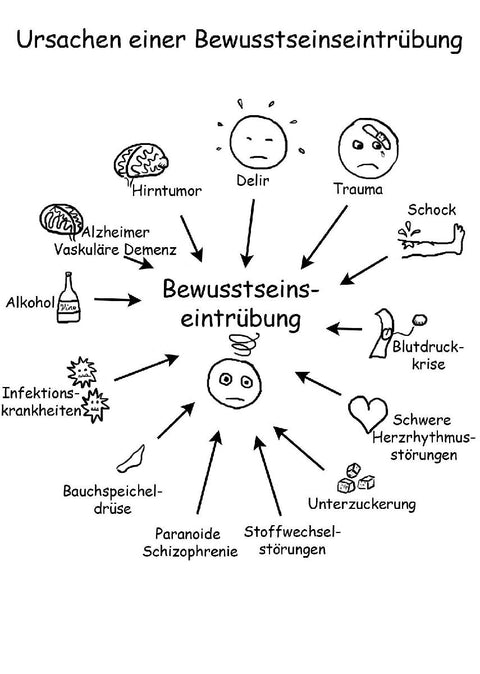Basiswissen Psychiatrie / Psychotherapie für Heilpraktiker kurzgefasst in Wort und Kullerköpfen