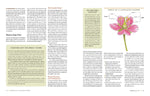 The Complete Guide to Saving Seeds