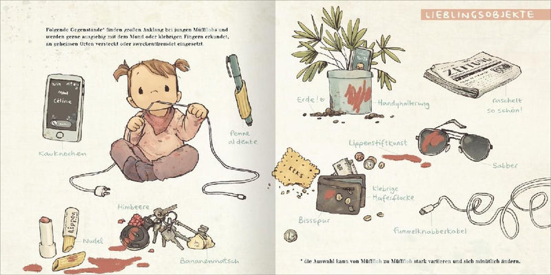Der MüffFloh (Innenansicht)