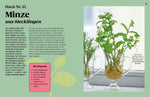 Regrow (Innenansicht)