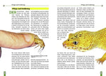 Der Leopardgecko - Eublepharis Macularius (Innenansicht)
