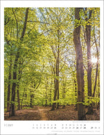 Heimische Wälder Kalender 2027