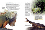 Entdecke die Reptilien
