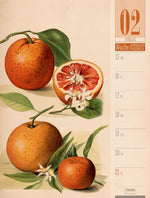 Culinarium Wochenplaner Kalender 2027 | Küche, Kräuter, Kurioses (Innenansicht)