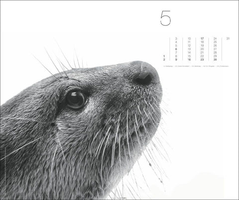 Black & White Animals 2027