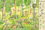 Mein großes Natur-Wimmelbuch